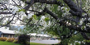 Enceinte de lâhĂ©bergement