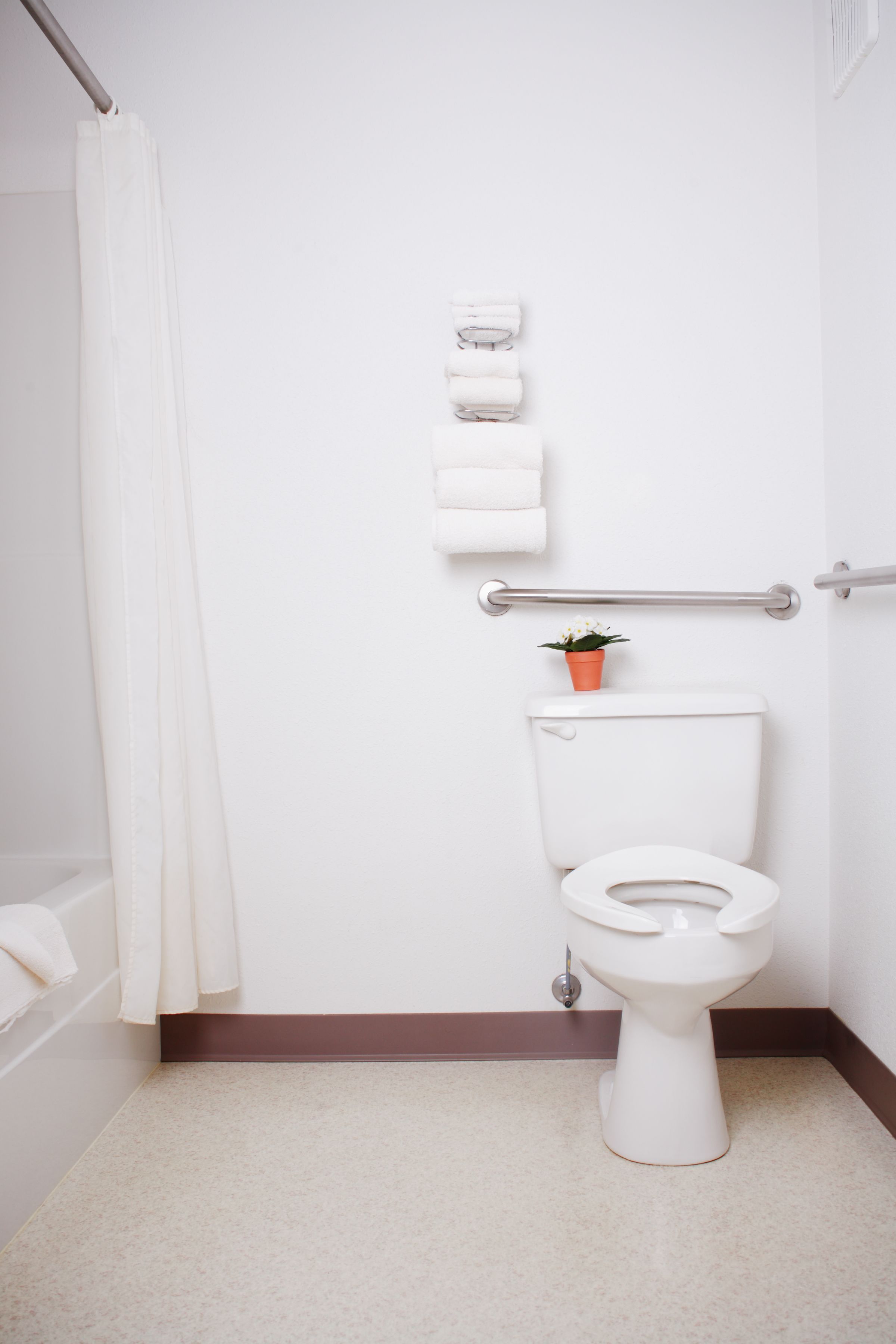 A bathroom with a white toilet, a shower curtain, a towel rack, a handrail, and a small potted plant.