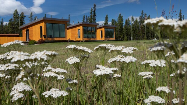 Une cabane en bois moderne, dotée de grandes fenêtres, située dans un champ verdoyant, avec de grands arbres en arrière-plan.