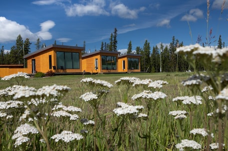 Deluxe Chalet, 1 Queen Bed, Mountain View, Garden Area | Exterior. Northern Lights Resort & SPA