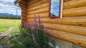 Une cabane en rondins avec une fenêtre et des fleurs violettes devant.