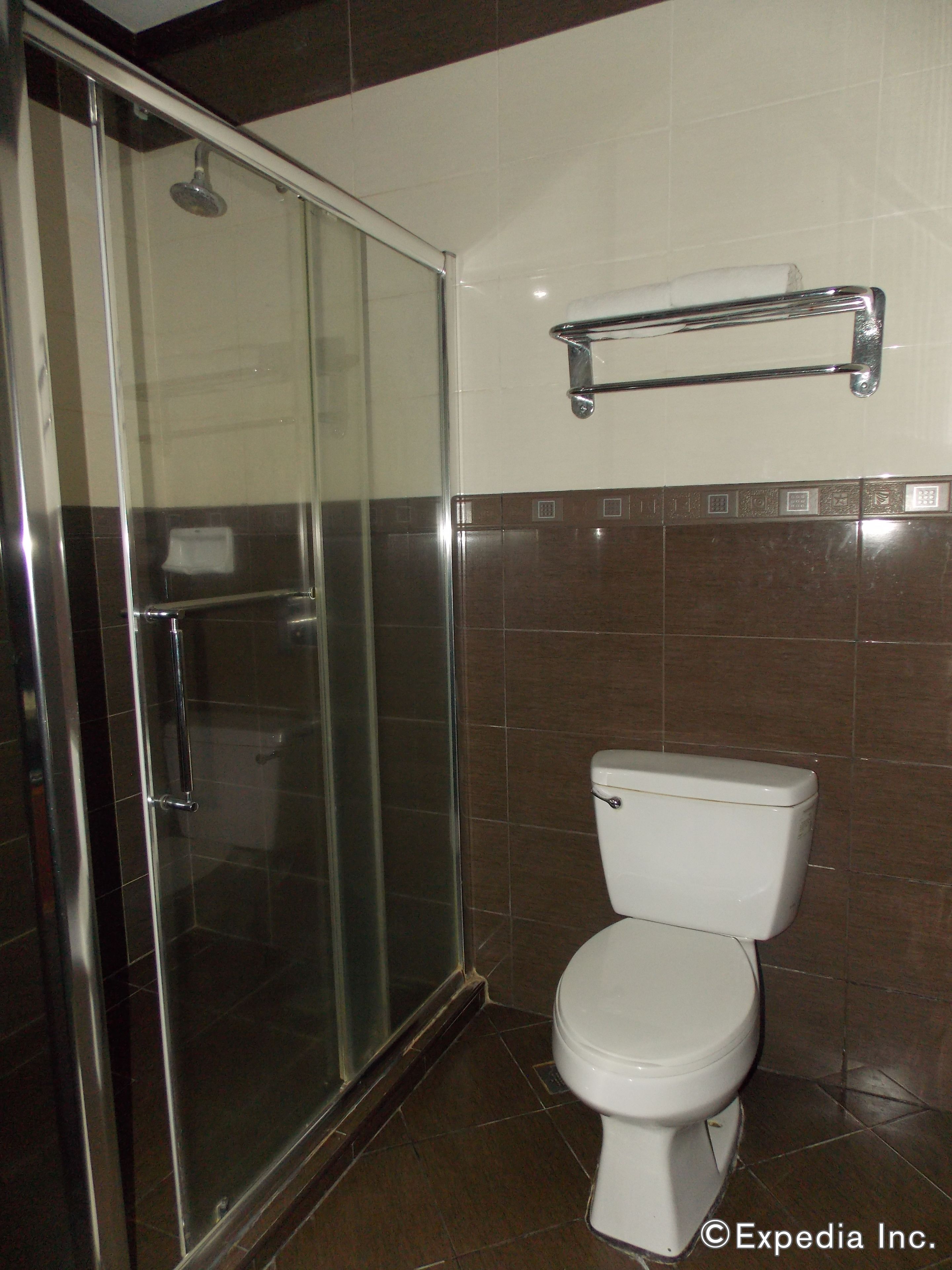 Un baño con ducha de vidrio, inodoro blanco y barra para toallas.