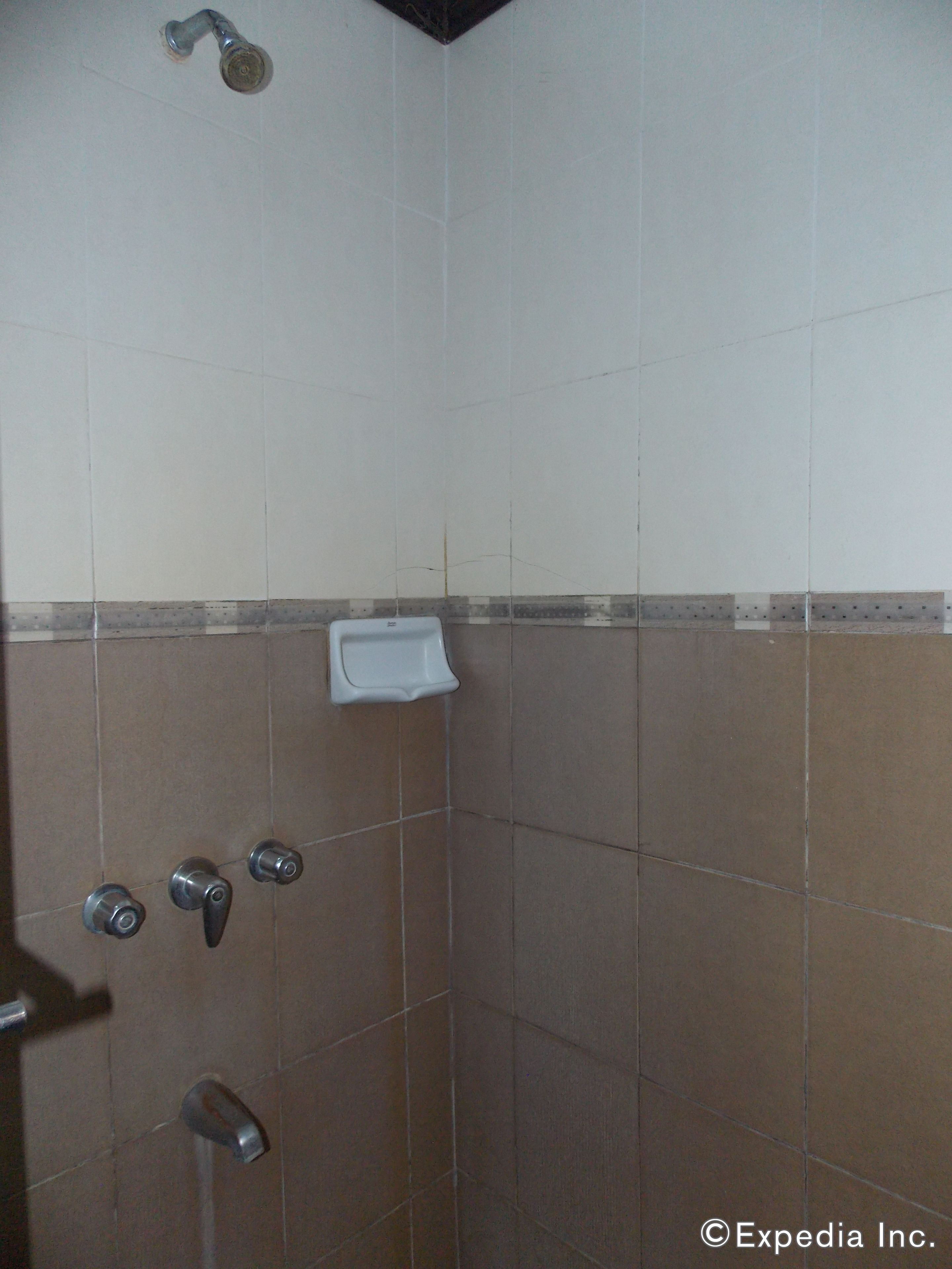 A shower with a handheld showerhead, a wall-mounted faucet, and a soap dish.