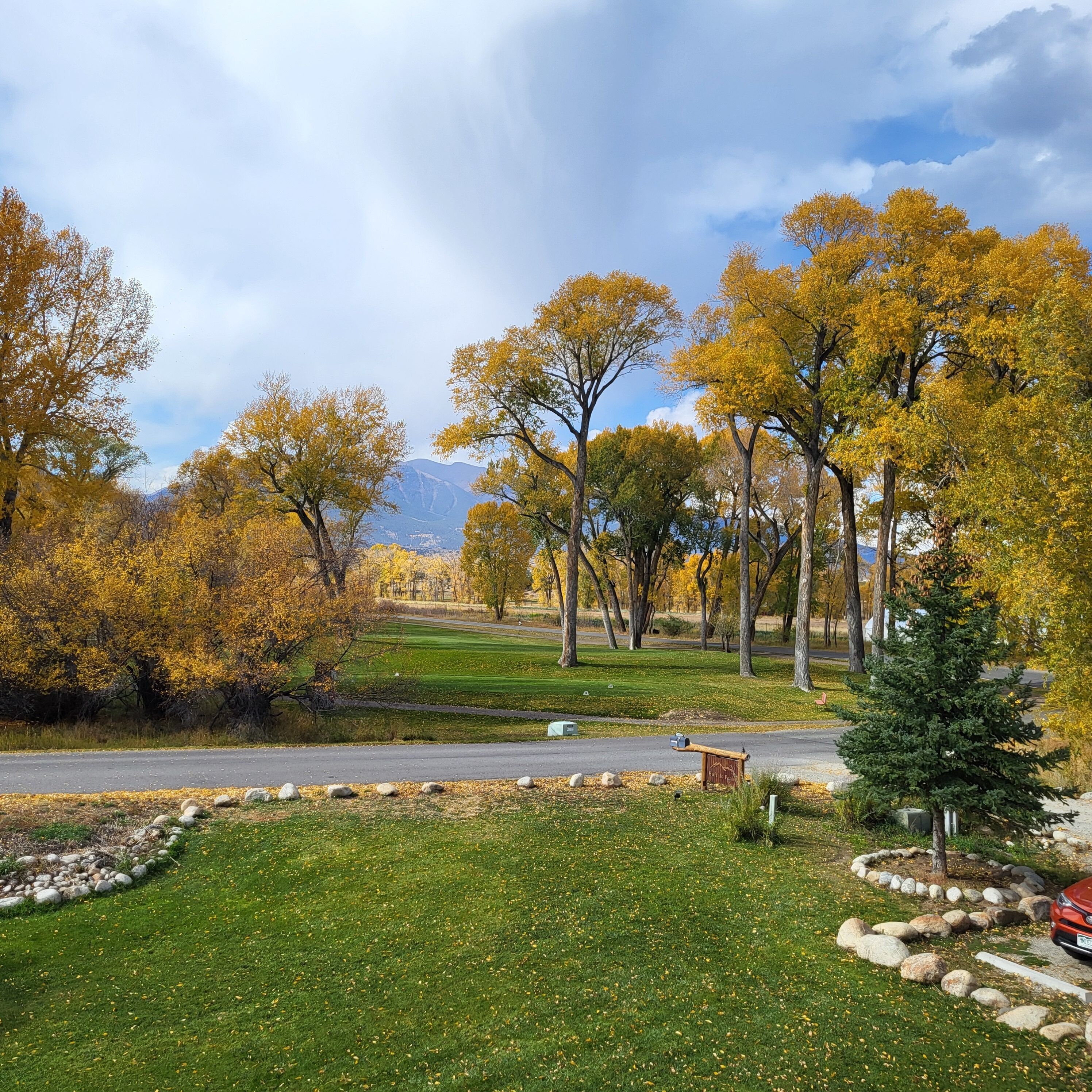 A park with a road, trees, and a mountain in the background.