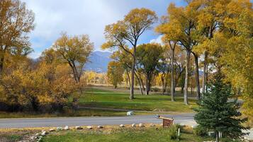 A park with a road, trees, and a mountain in the background.