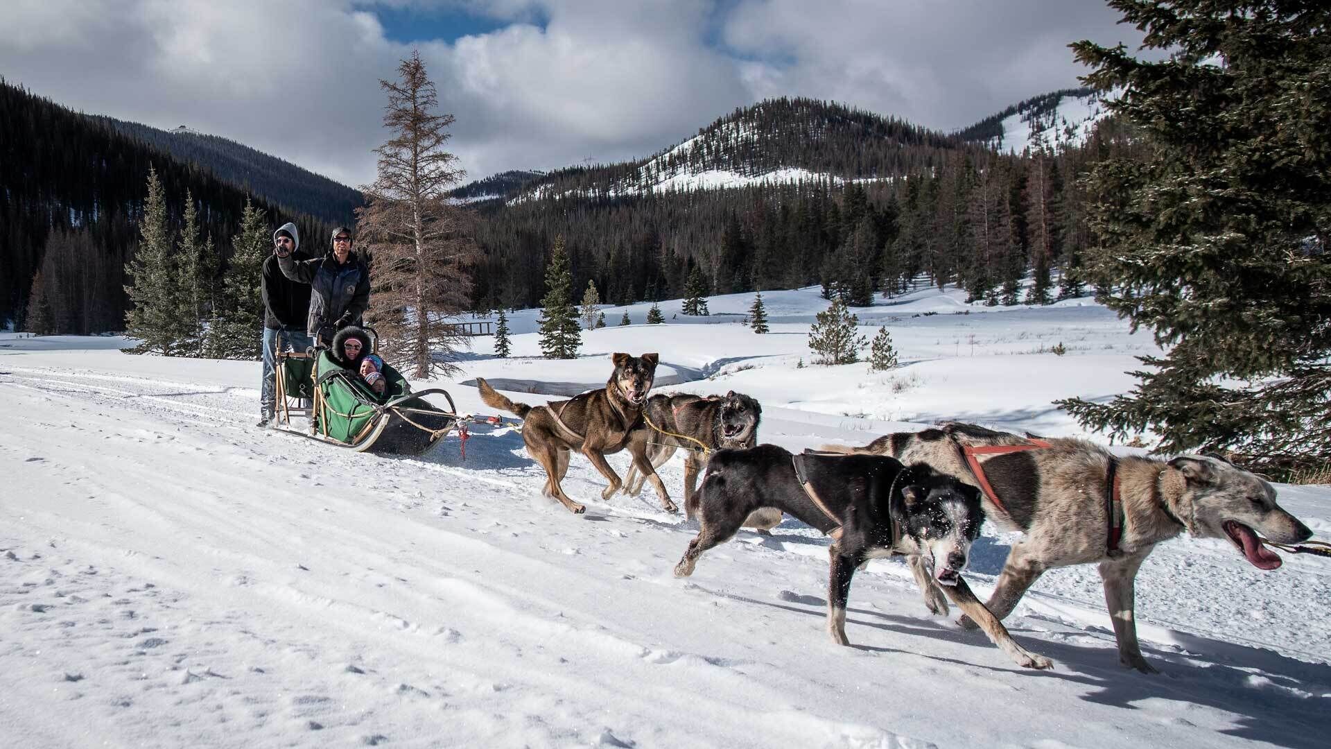 A snowy landscape with a sled being pulled by dogs, a person in a sled, and a child.
