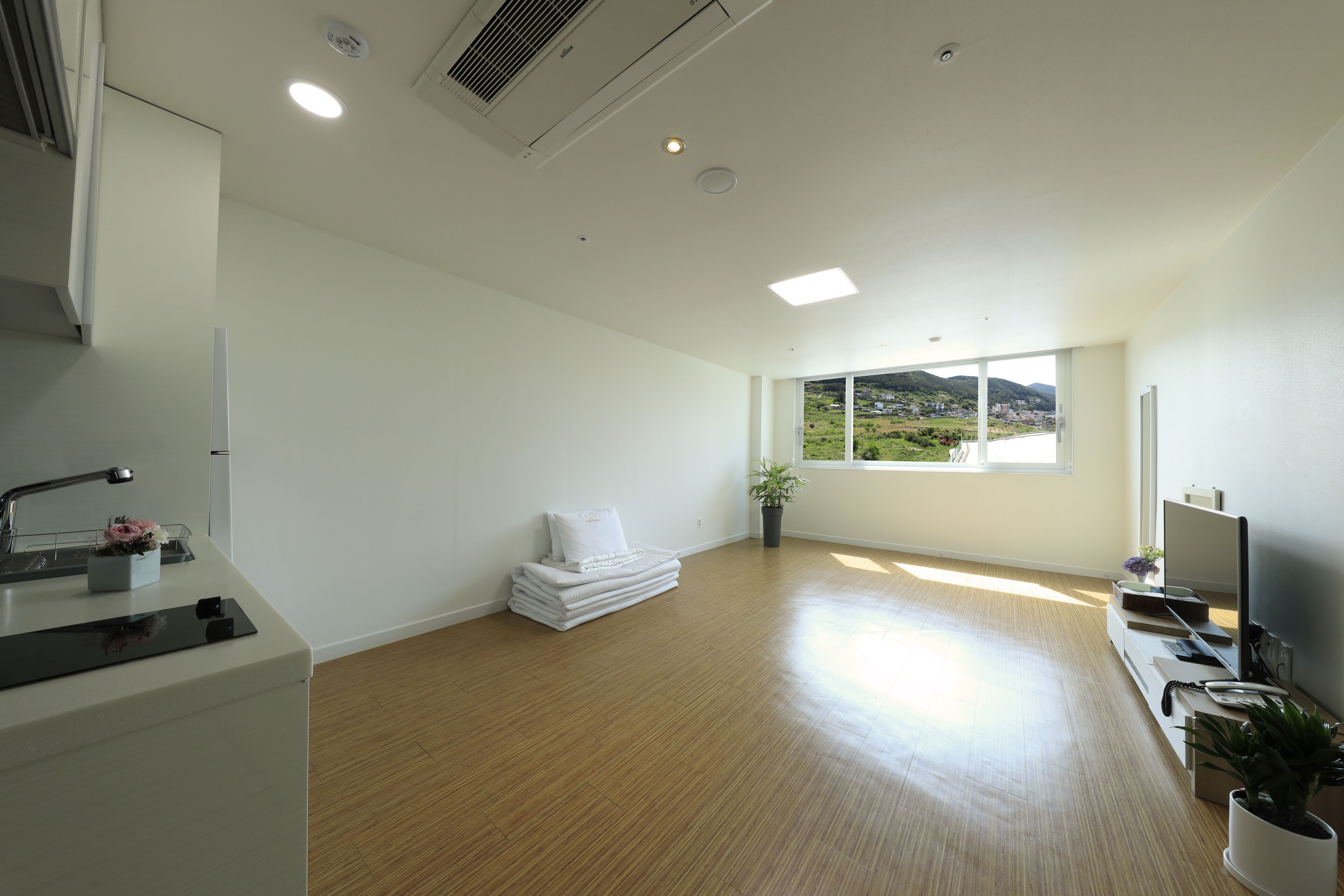 A spacious, modern room with a wooden floor, a large window offering a view of the countryside, a built-in TV, and a small kitchen area with a sink and a plant.