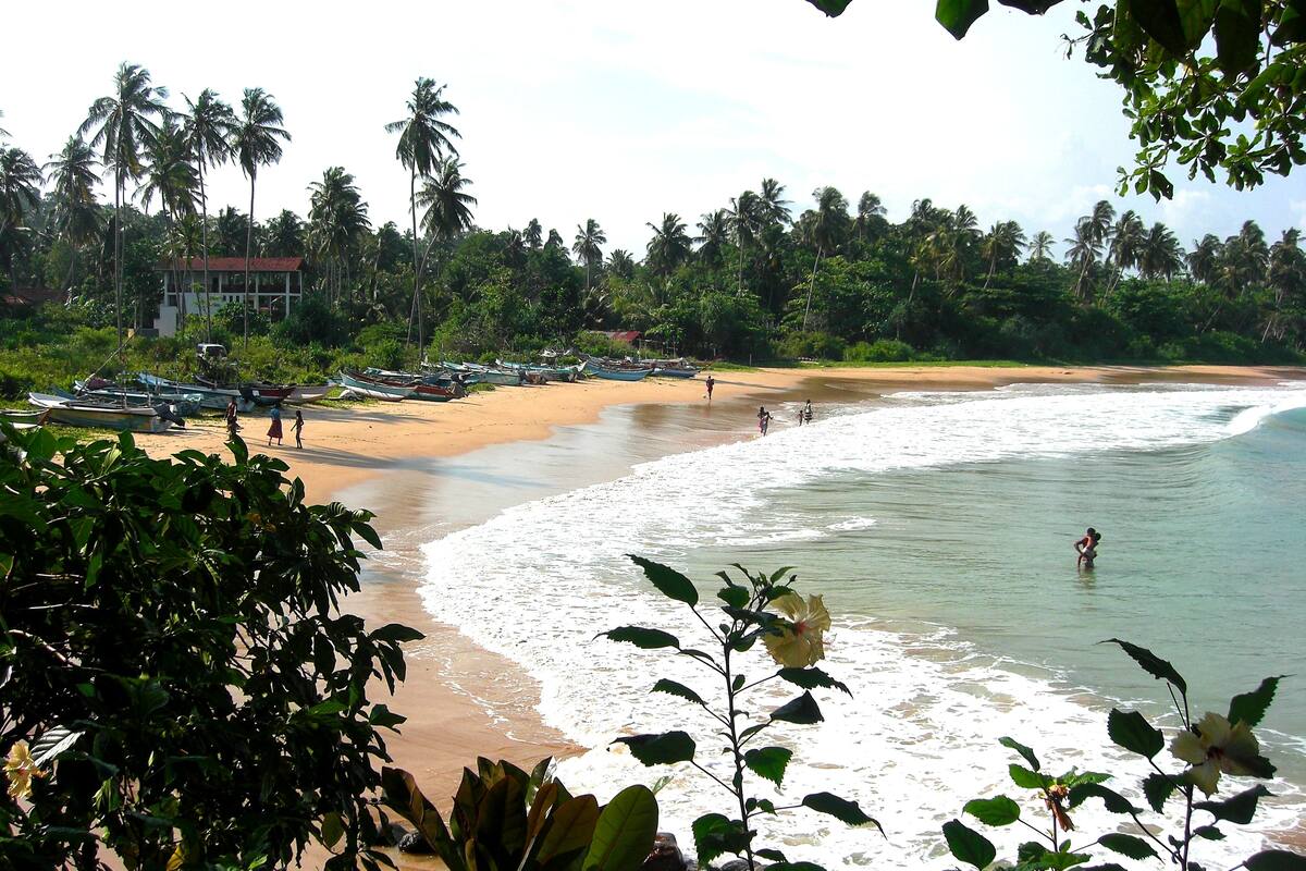 A beach with boats, palm trees, and a building in the background.