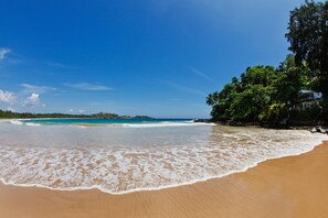 Ein Strand mit klarem, blauem Wasser, sandigem Ufer und üppiger Vegetation.