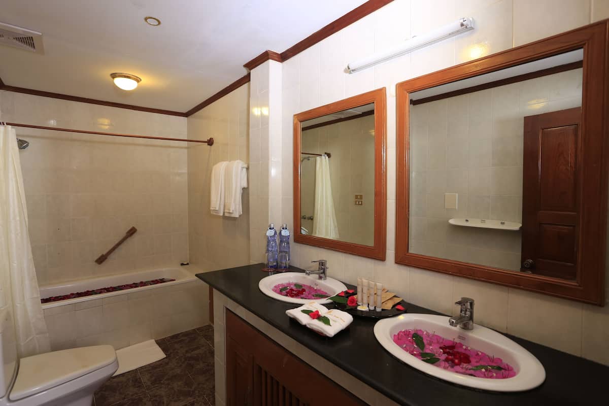 combined shower/bathtub, free toiletries, hair dryer, bathrobes