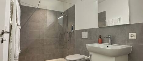 A modern bathroom with a glass shower enclosure, a toilet, and a sink.