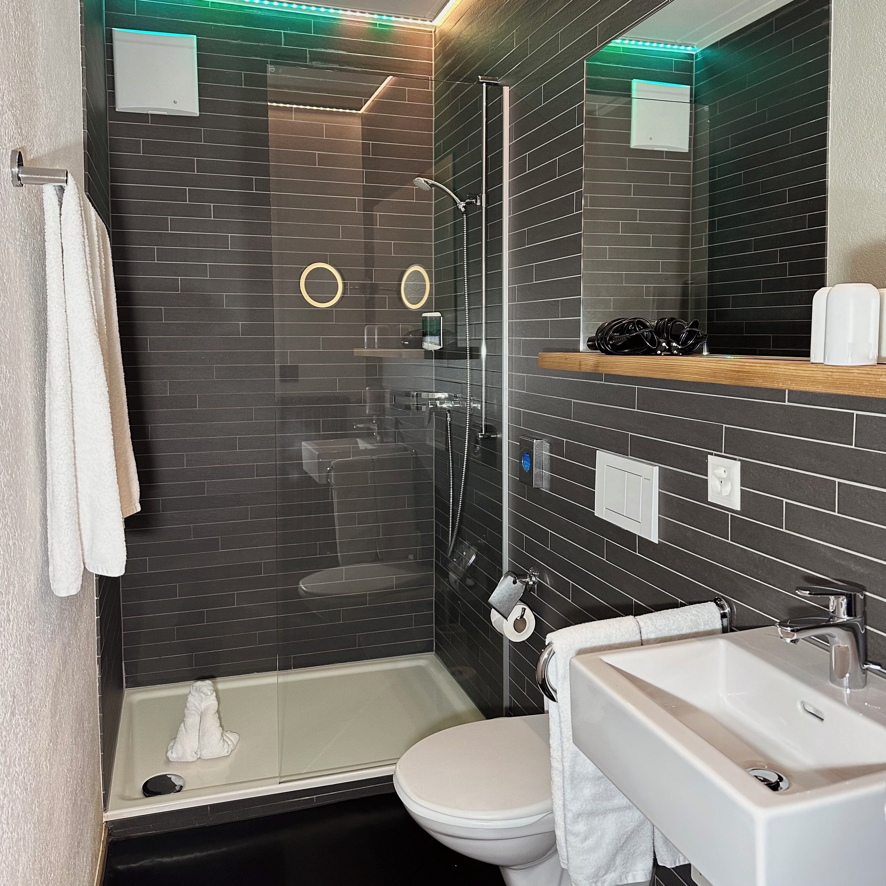 basic double room, private bathroom | bathroom | towels