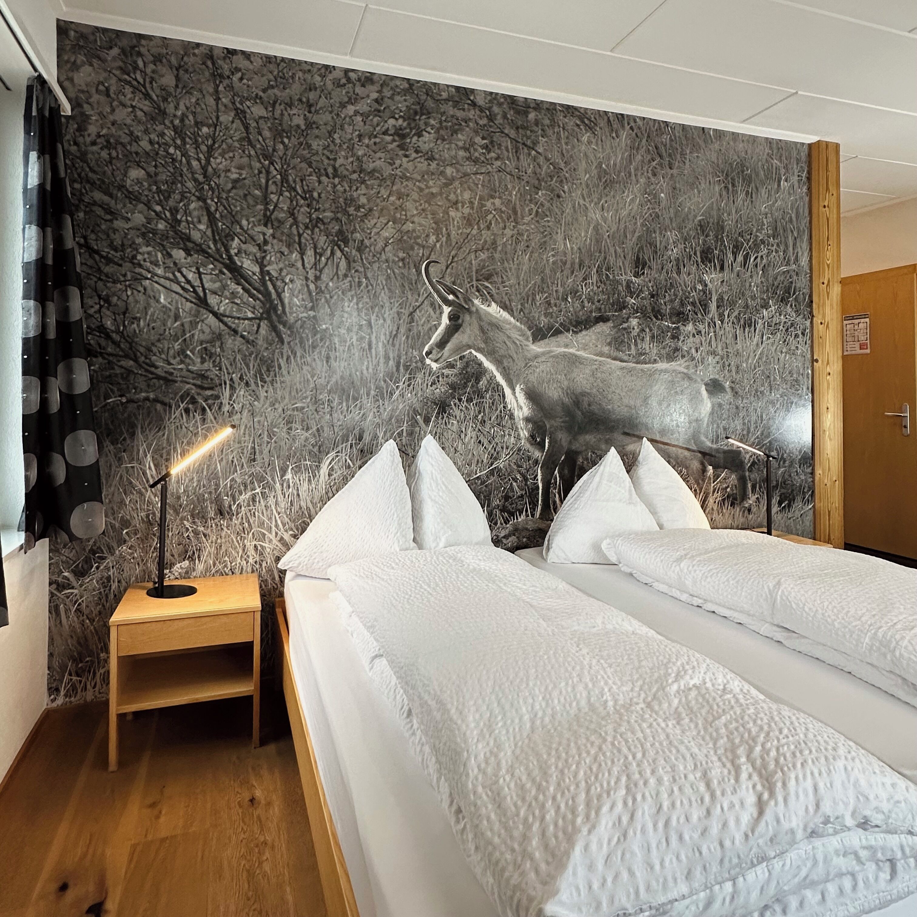 basic double room, private bathroom | 1 bedroom, desk, soundproofing, free wifi