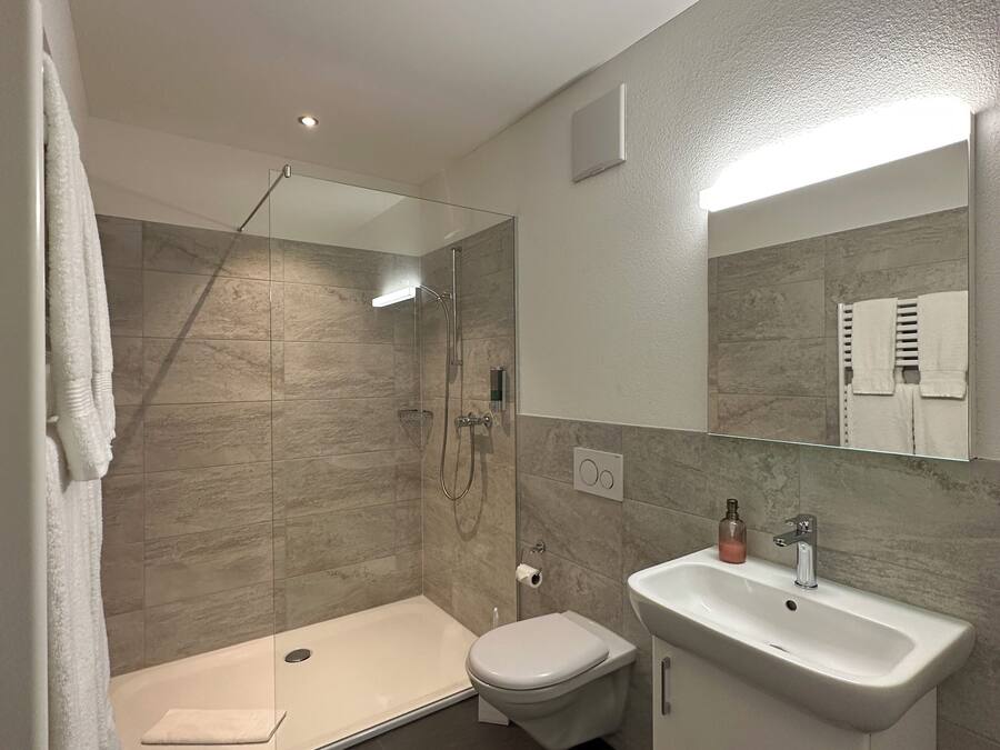 A modern bathroom with a glass-enclosed shower, a white toilet, and a sink with a mirror above.