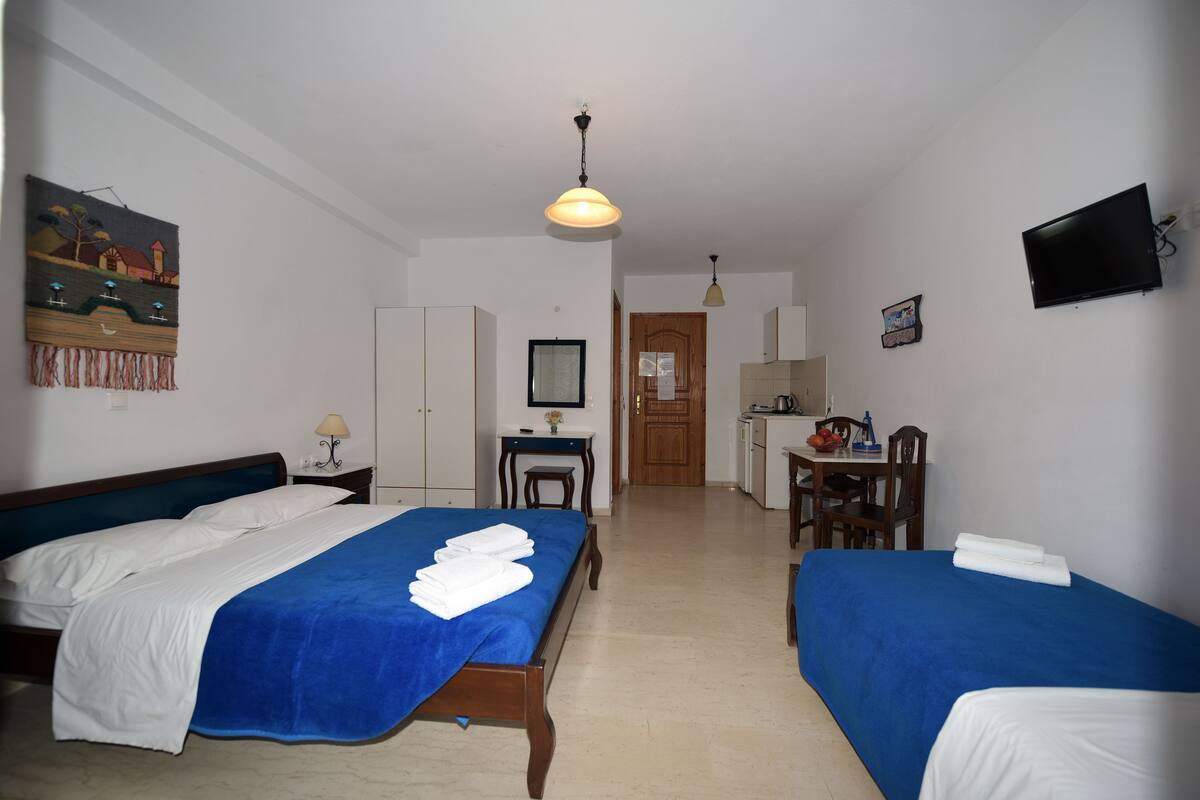 Habitación de hotel con dos camas, un escritorio, una silla, un televisor y un cuadro en la pared.