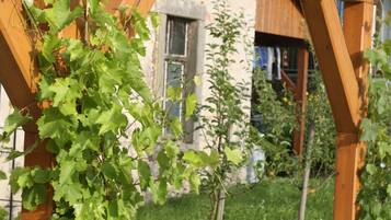 Una pergola in legno con piante rampicanti, sullo sfondo di un edificio e una zona verde.