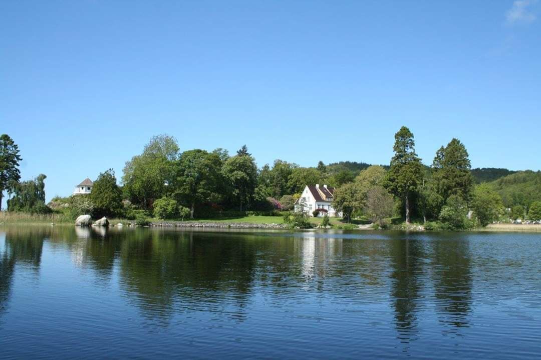 A serene lakeside view with a house and trees.