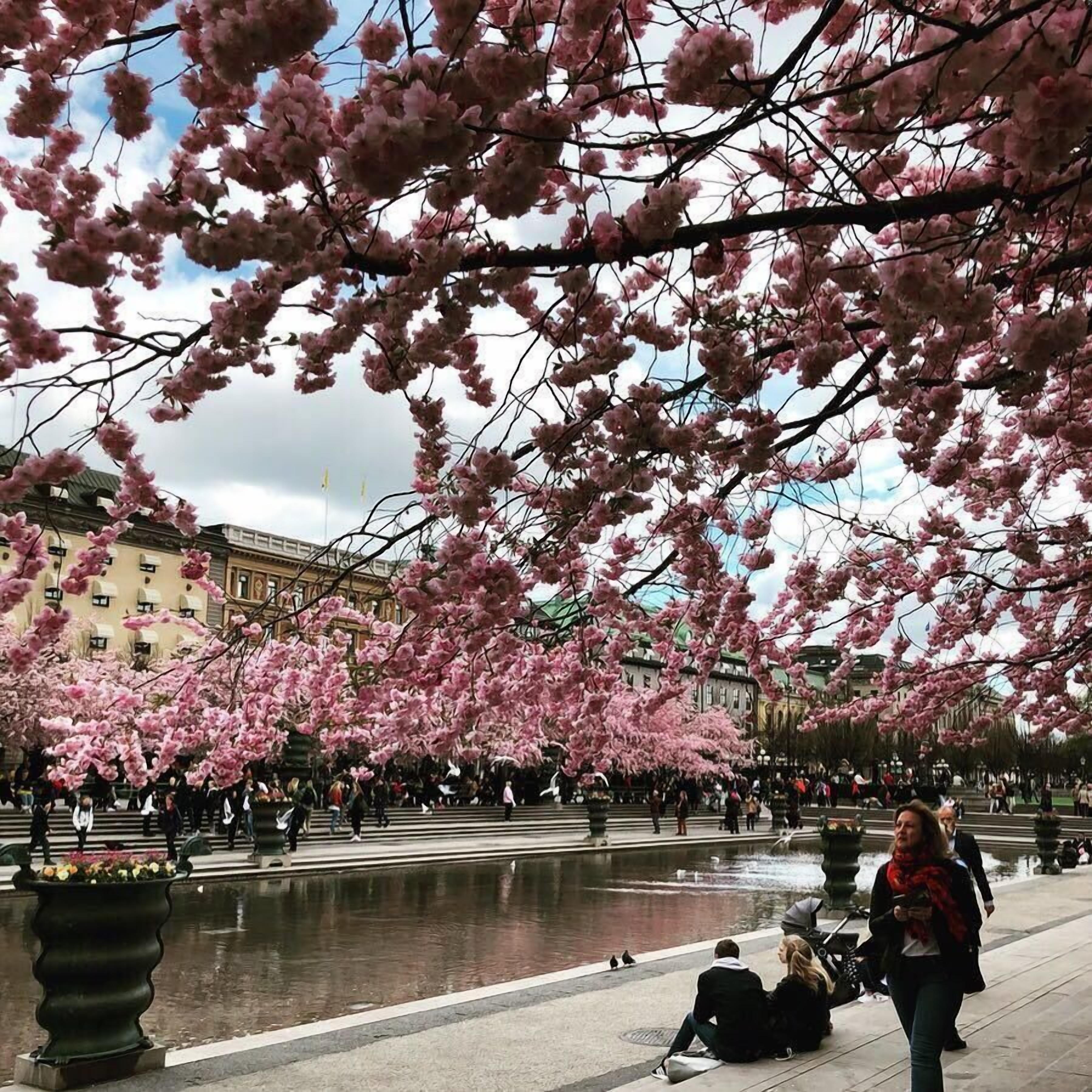 Foto - Dockside Hostel