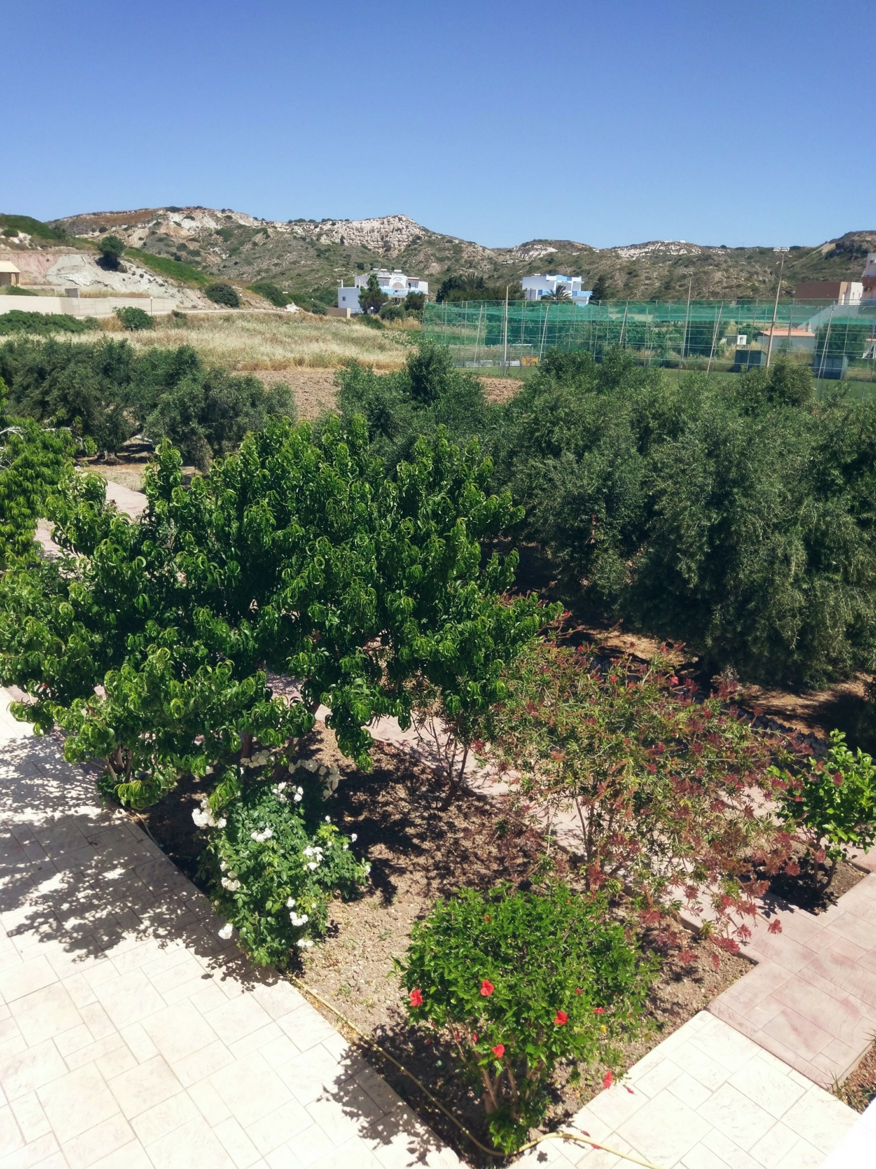 A landscaped garden with various shrubs and flowers, a paved walkway, and a view of distant buildings and hills.