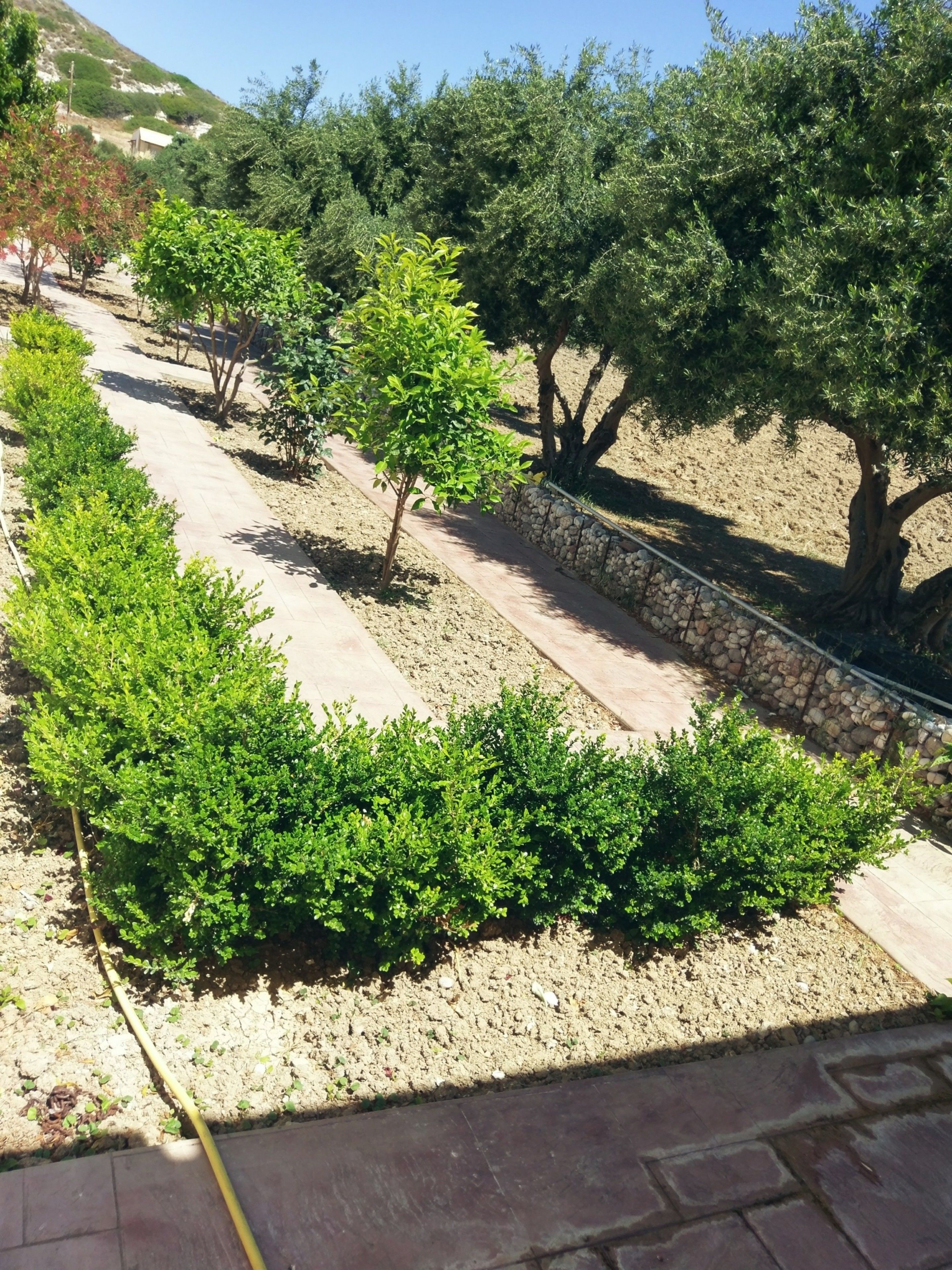 Un jardin aménagé avec des haies et des arbres taillés avec soin, un mur de pierre et un chemin pavé.