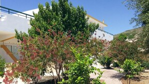 Un patio con un edificio moderno, un árbol de hojas verdes y rojas, y un cielo azul despejado.