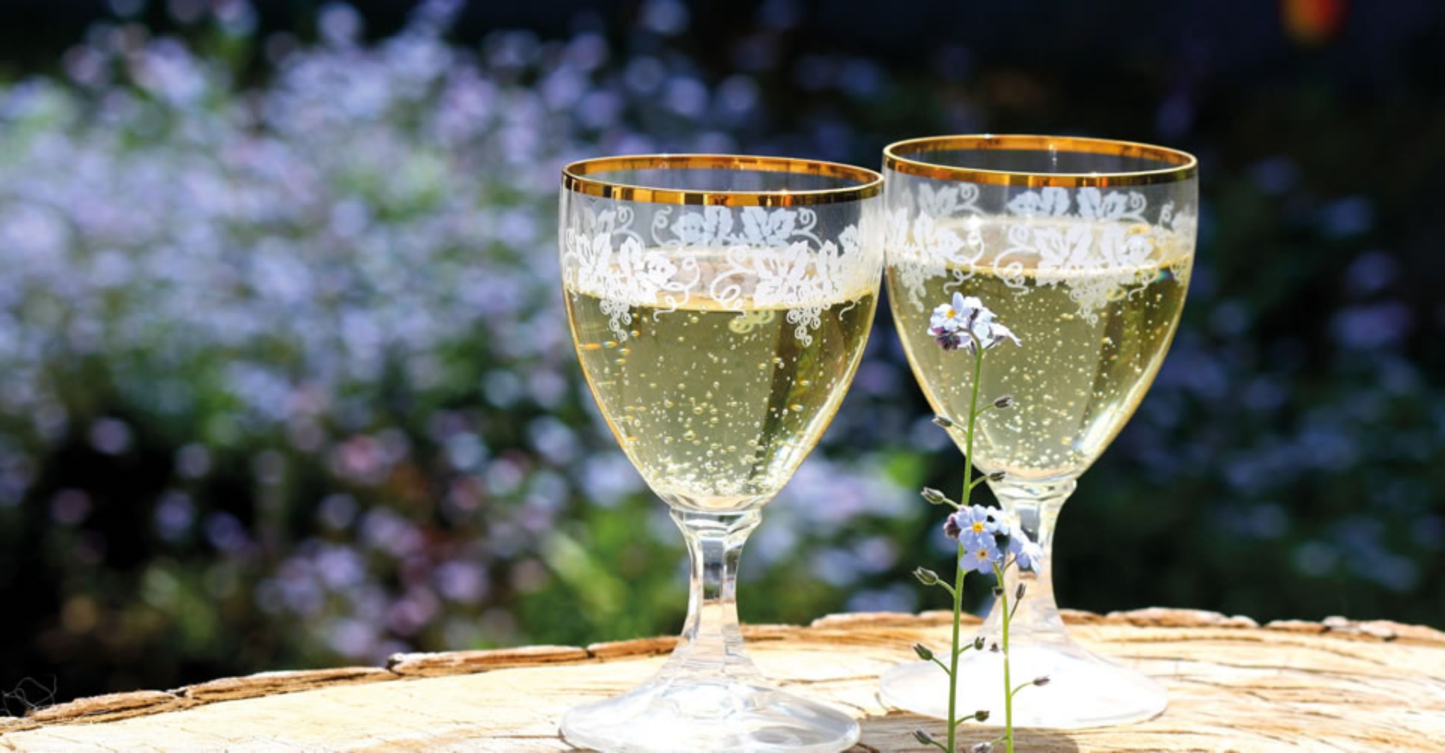 Two glasses of champagne on a wooden surface with a blurred floral background.