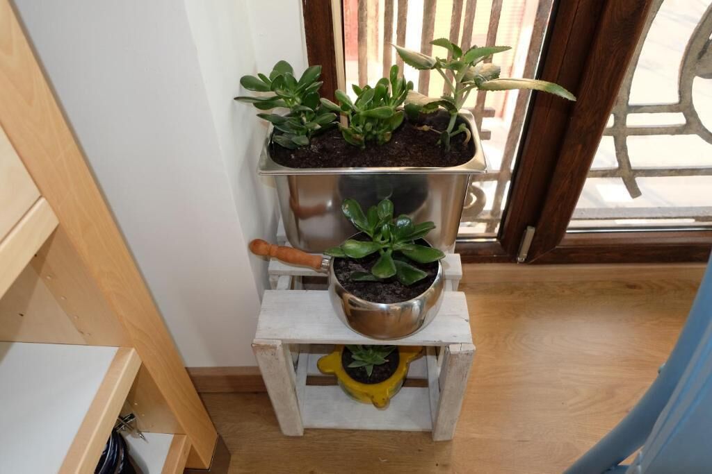 Foto - Balcón Al Mar