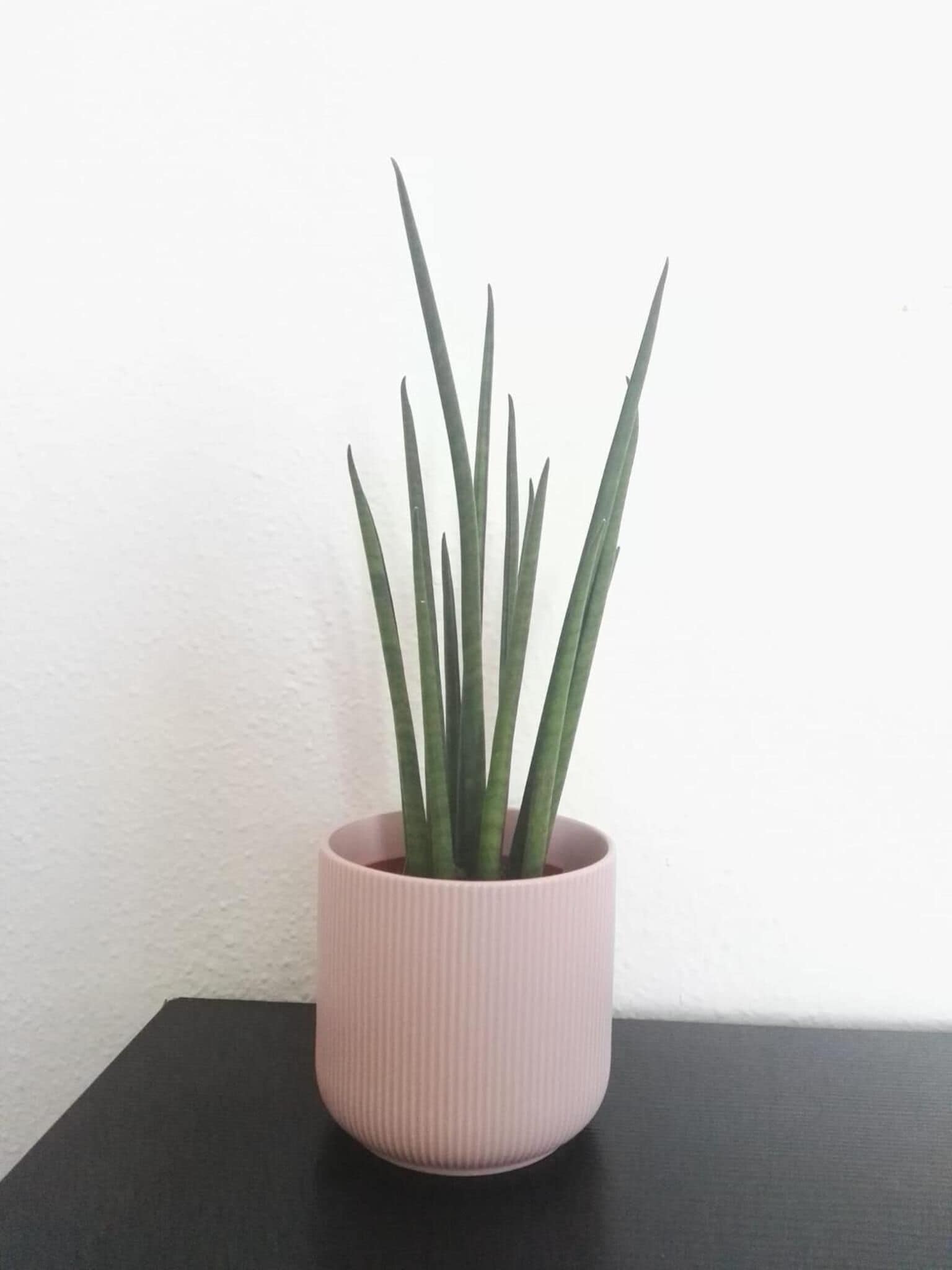 Photo - Balcón Al Mar