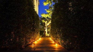 Un sendero de madera bordeado por una vegetación densa, que conduce a un árbol con una estructura en su base.