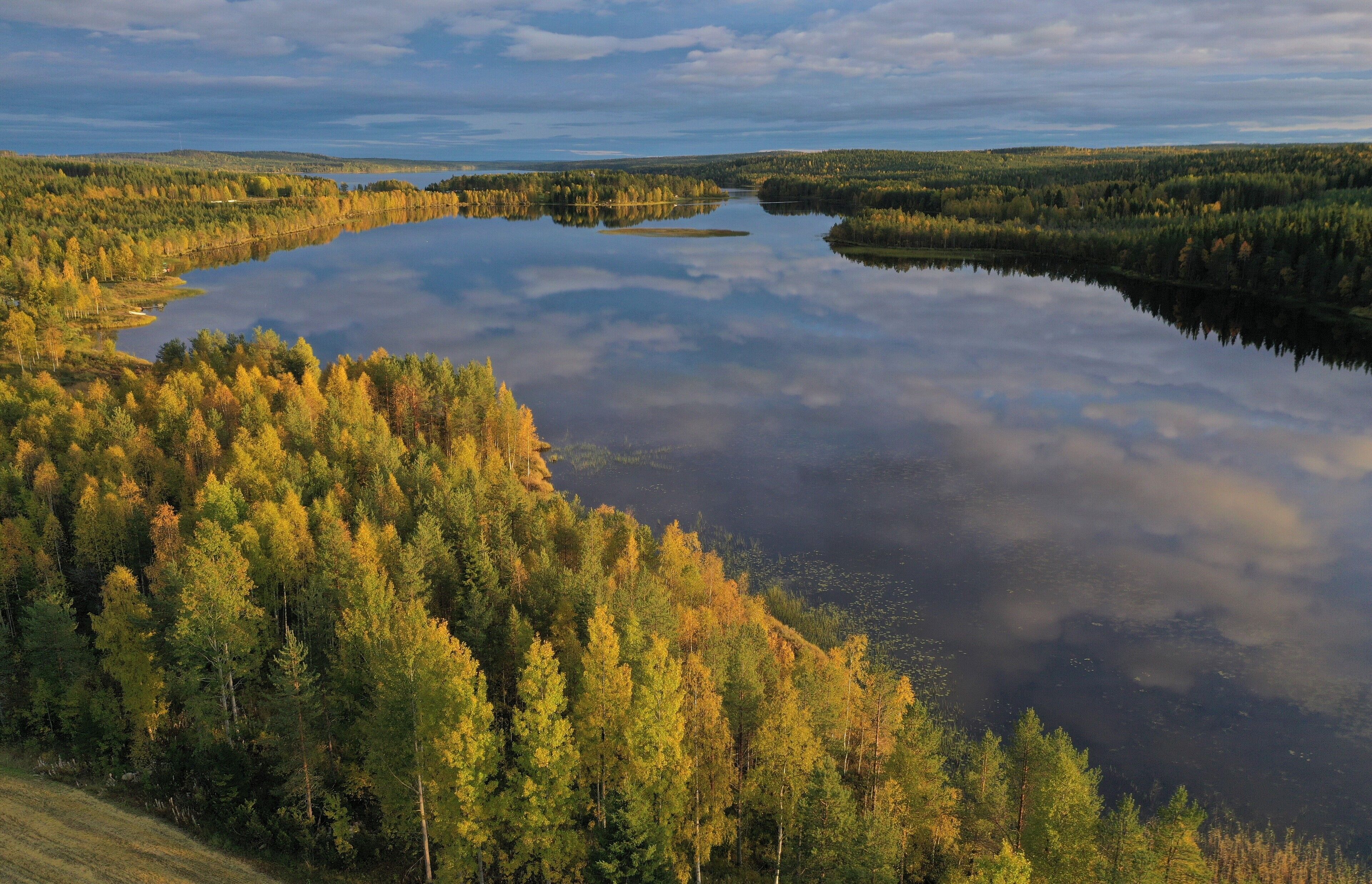 A lake surrounded by dense forest with a clear reflection of the trees.