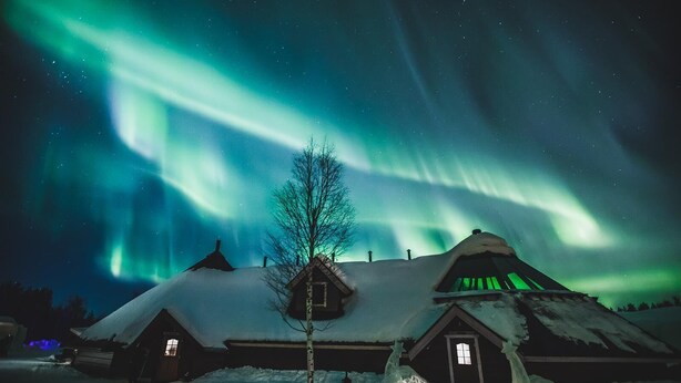 A snow-covered building with a visible window and a tree in front. - Arctic SnowHotel & Glass Igloos (Rovaniemi)