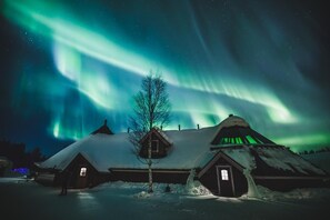 A snow-covered building with a visible window and a tree in front. - Arctic SnowHotel & Glass Igloos (Rovaniemi)