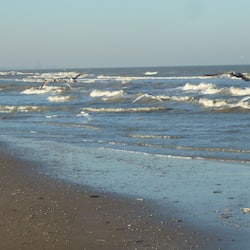 On the beach