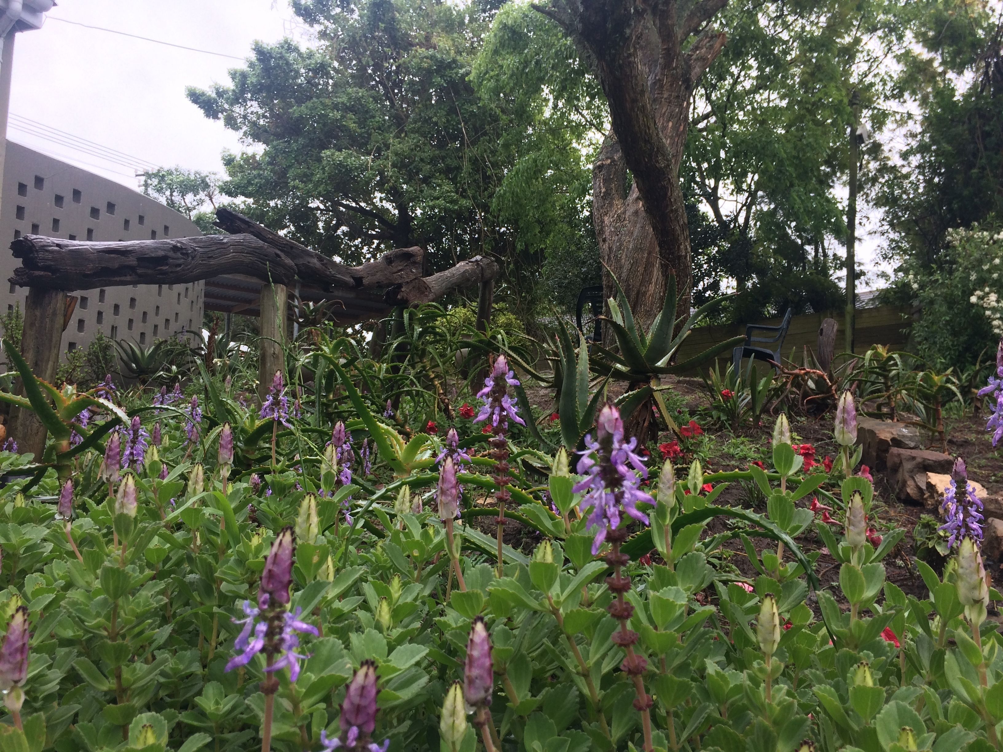 住宿场地