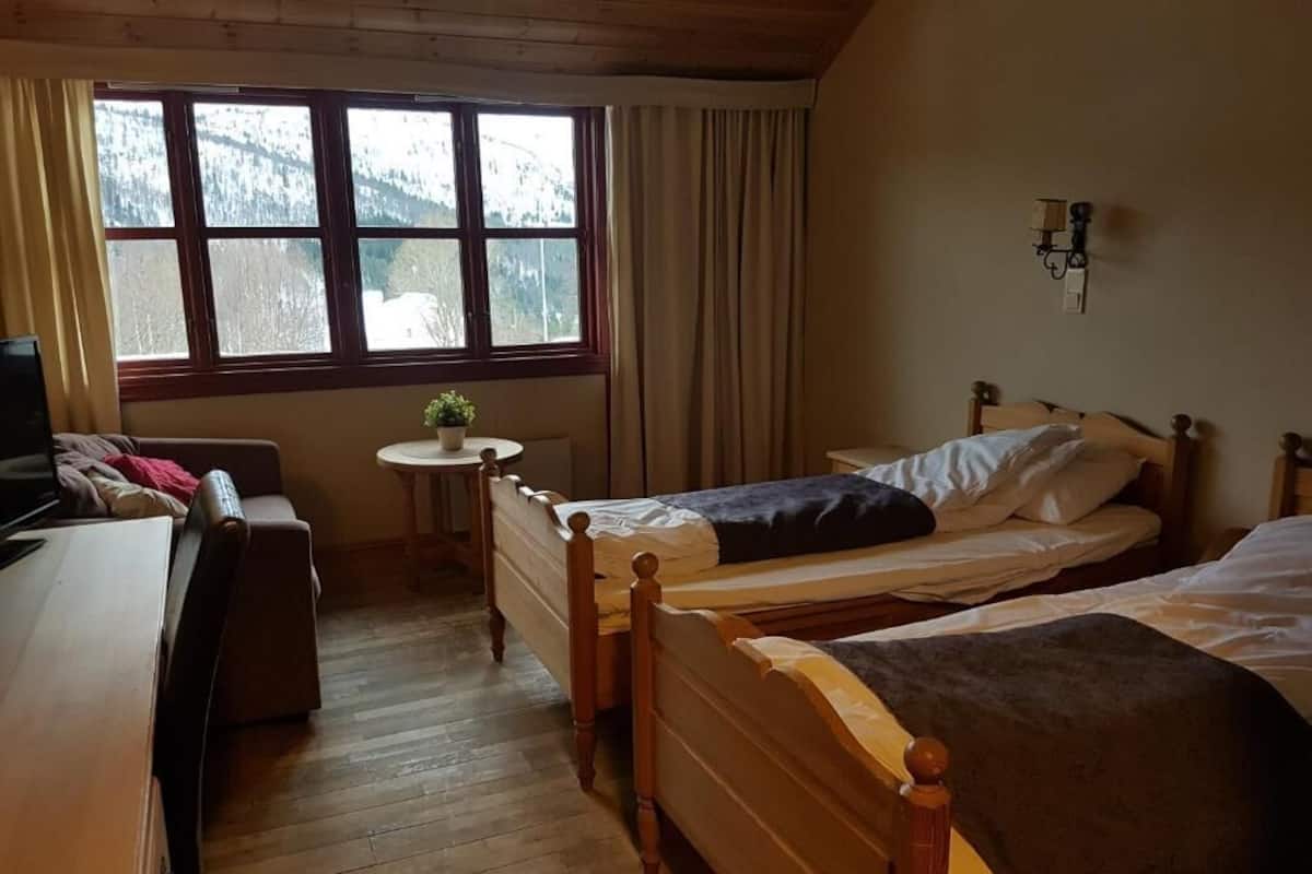 Um quarto aconchegante com duas camas de madeira, uma mesinha com uma planta, um sofá e uma televisão.