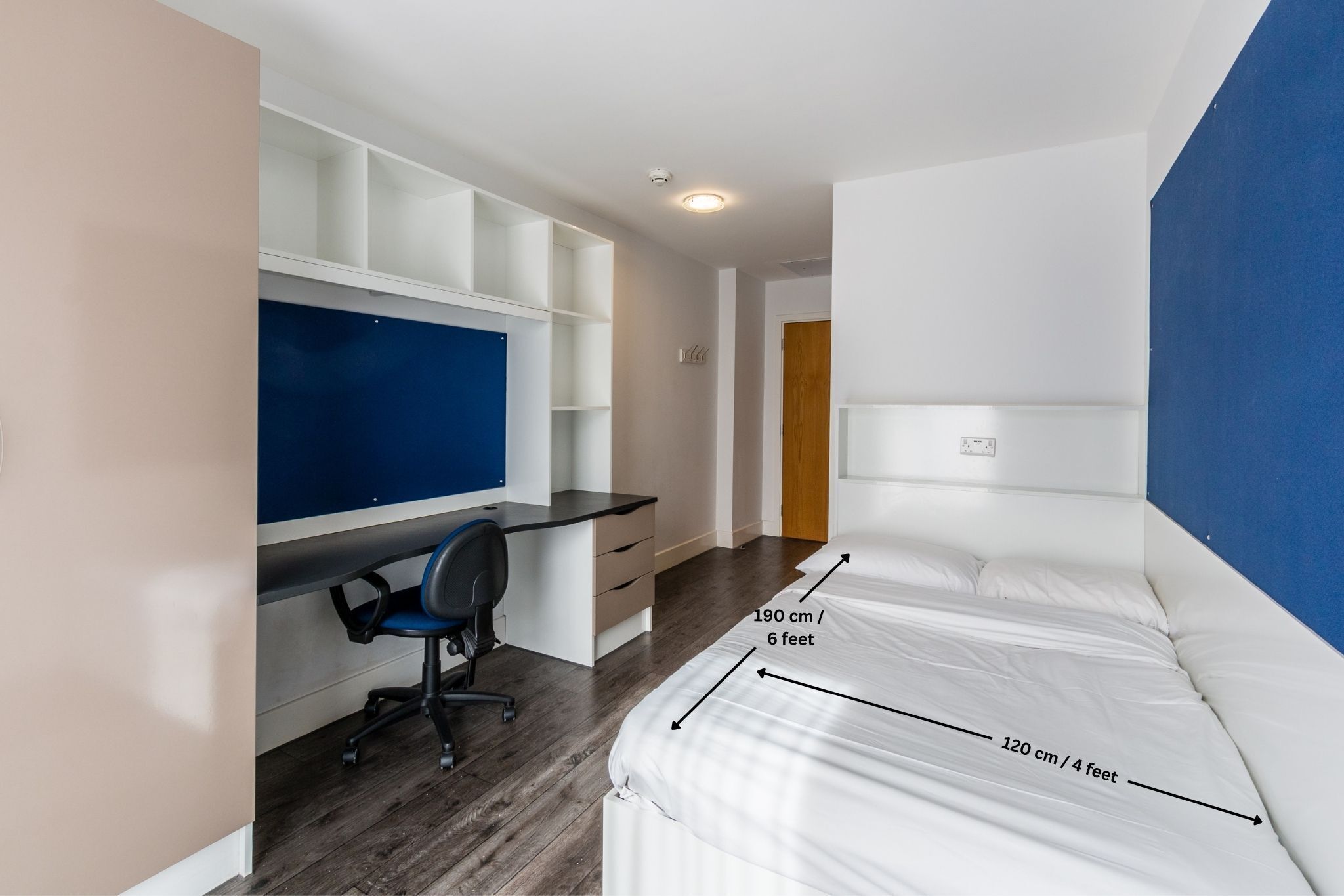A compact room with a bed measuring 190 cm / 6 feet, a desk with a chair, and a blue wall.
