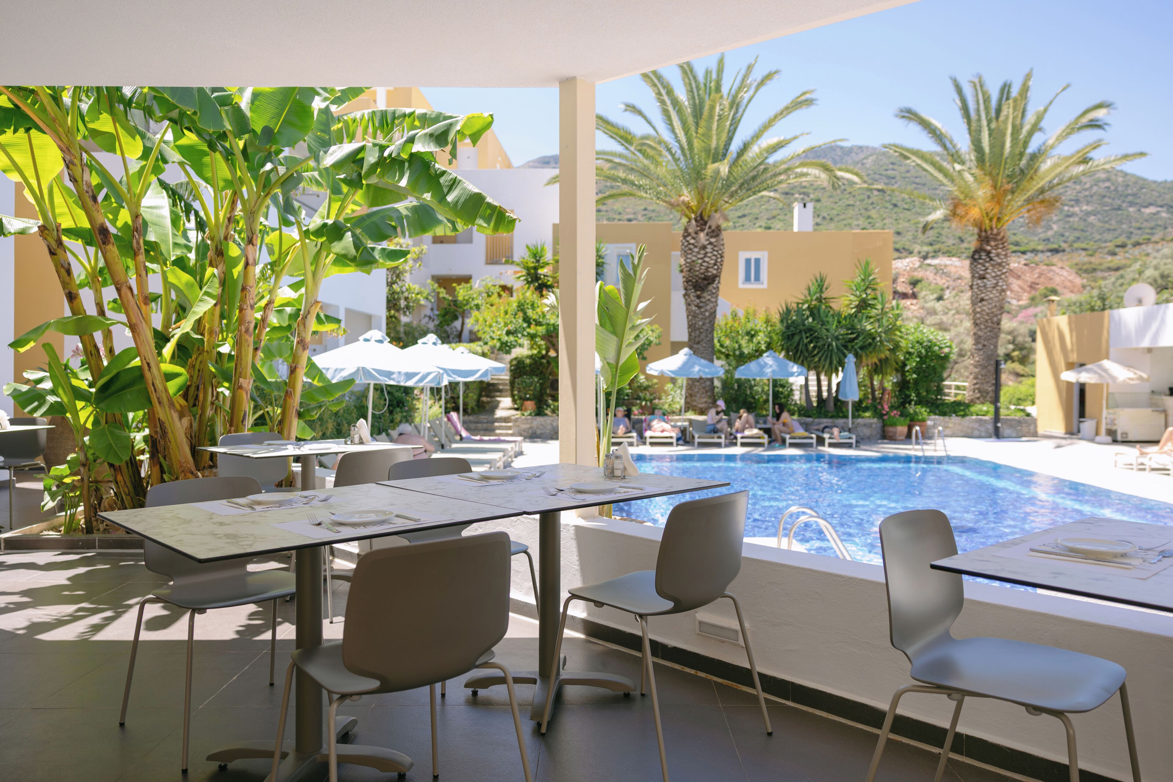 An outdoor pool area with lounge chairs and umbrellas, surrounded by palm trees and buildings.