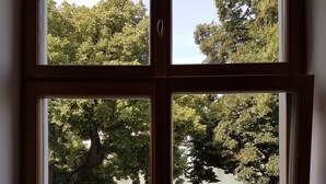 Une fenêtre donnant sur un lac, des arbres et une balustrade.