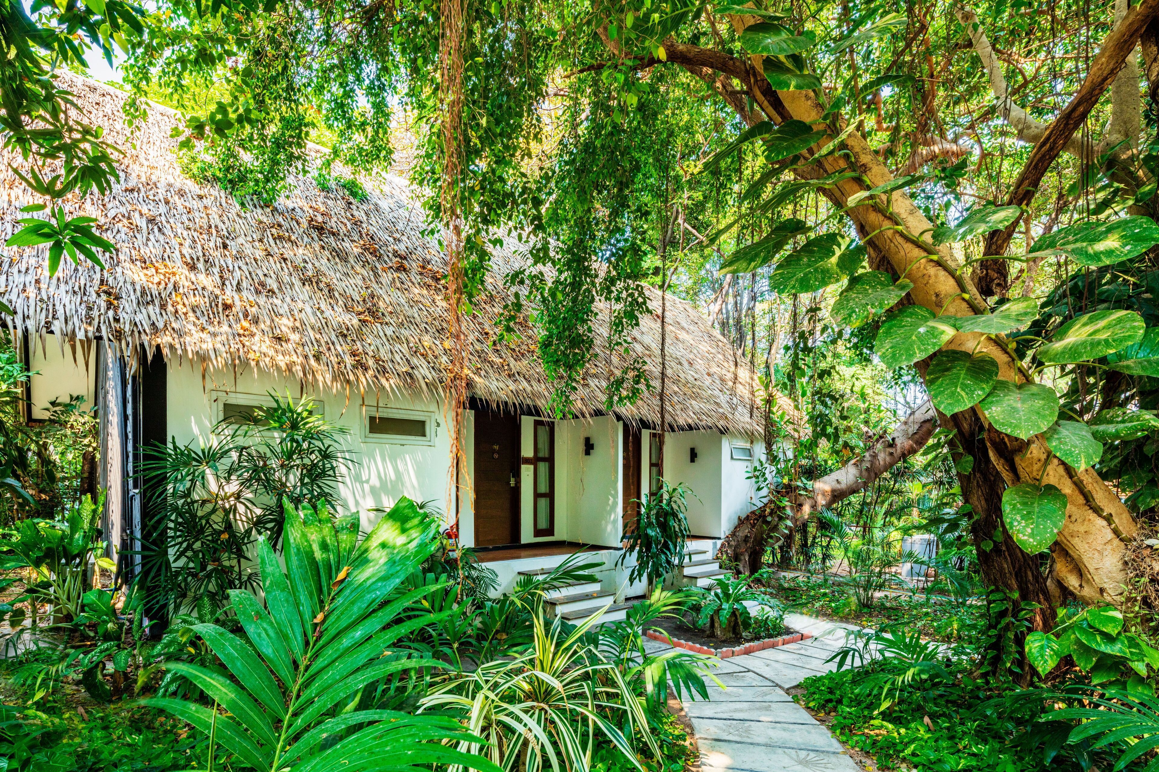 land view from property