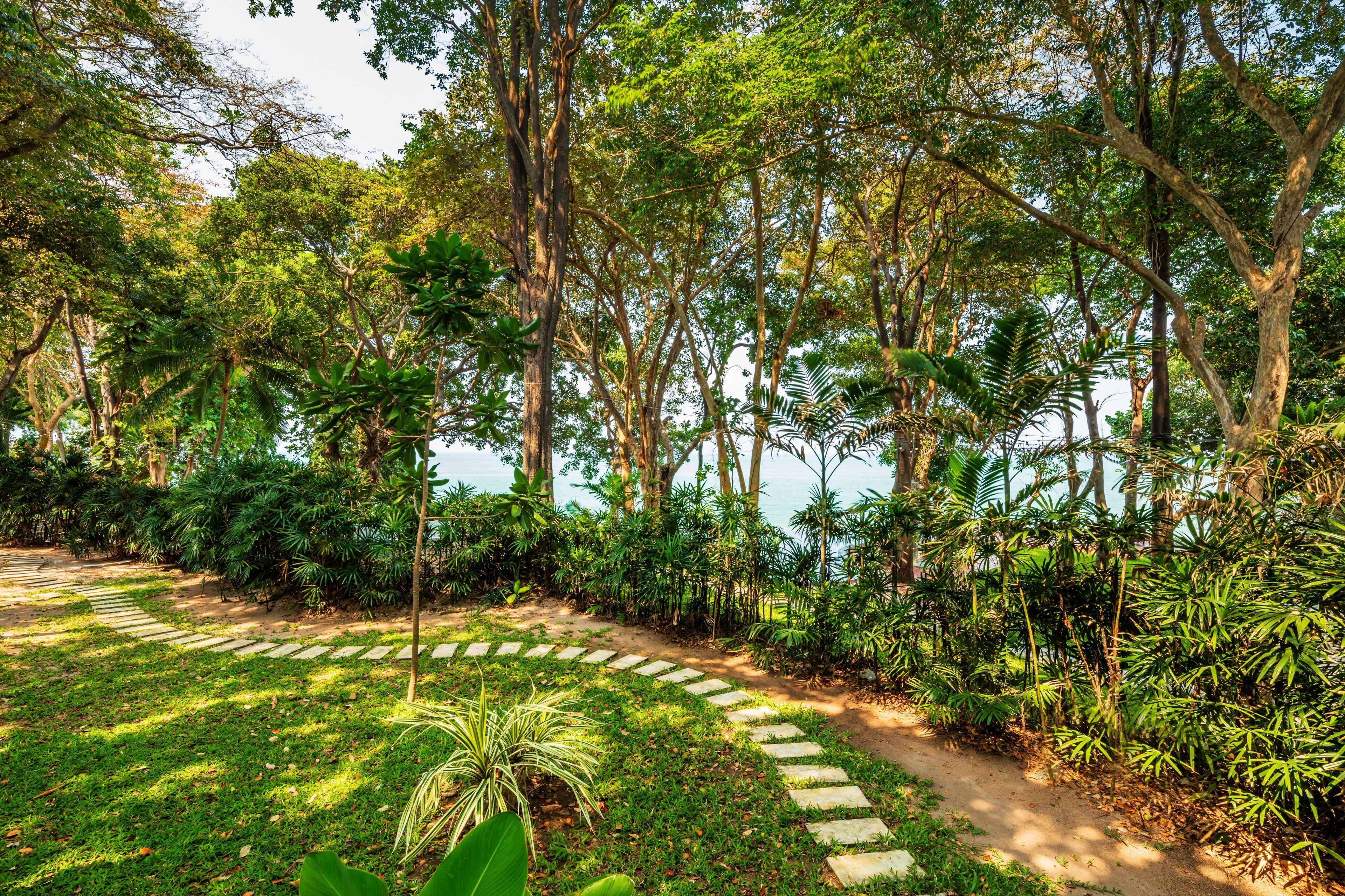 A garden pathway surrounded by lush greenery and trees.