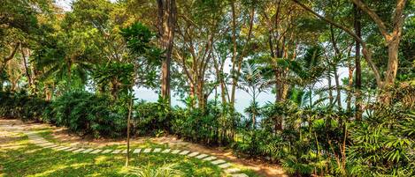 A garden pathway surrounded by lush greenery and trees.