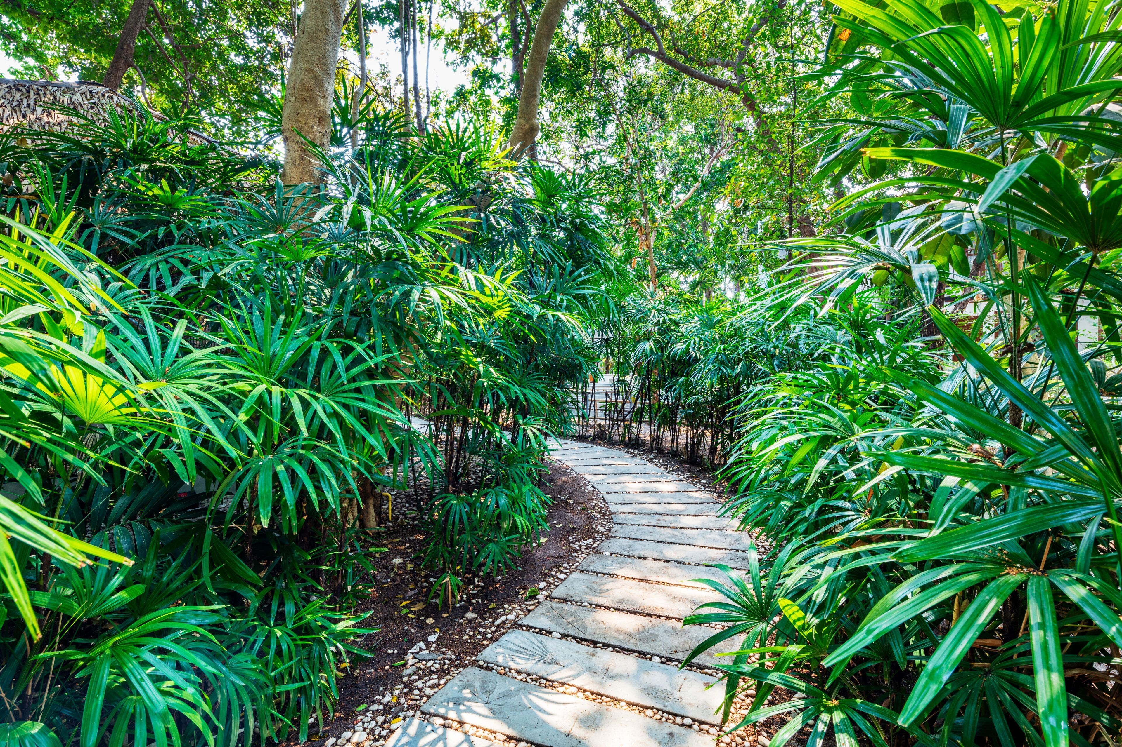 aromatherapy, swedish massages, thai massages, body scrubs