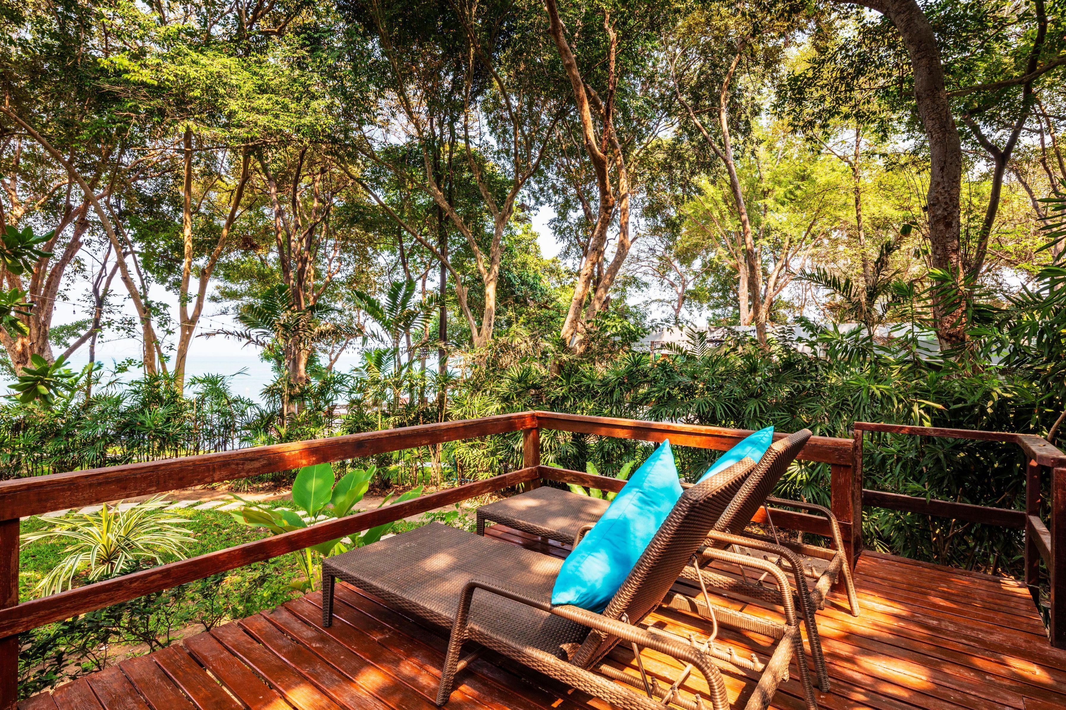 canopy suite | terrace/patio