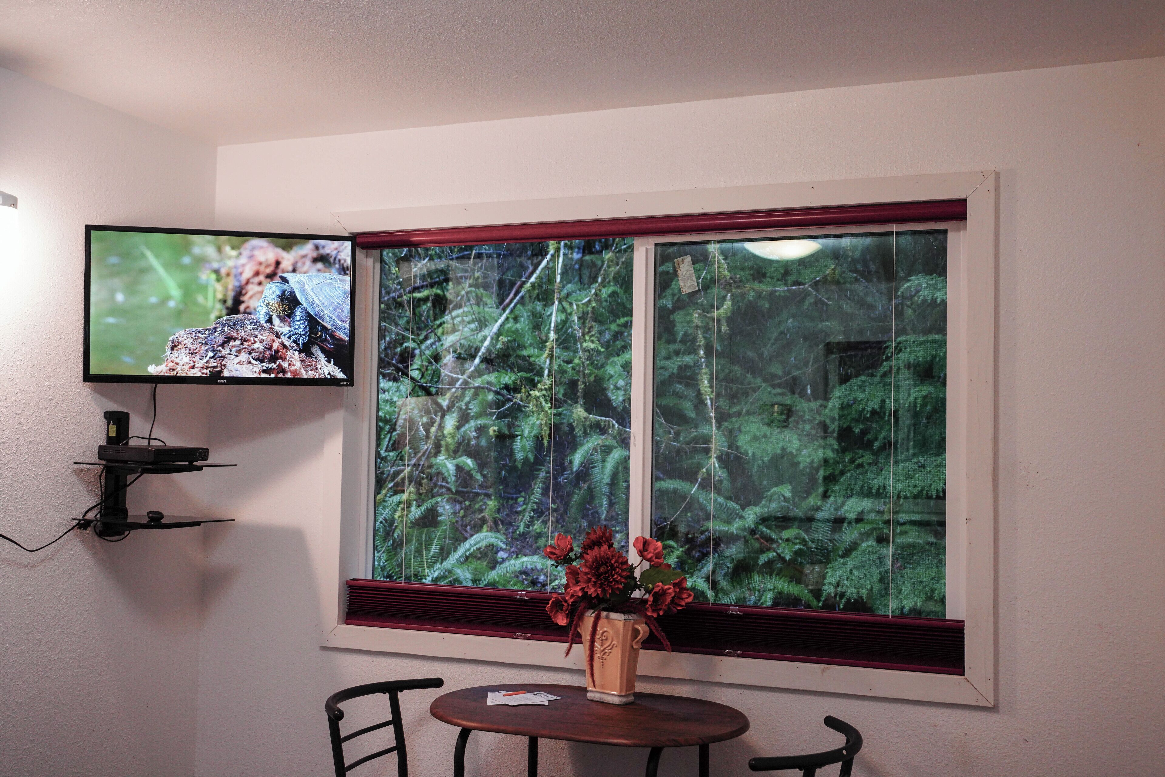 A room with a television mounted on the wall, a window with a view of greenery, a small table with a vase of flowers, and a chair.