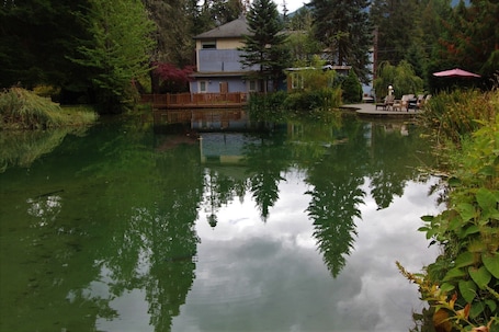 View from property. Alexander's Lodge