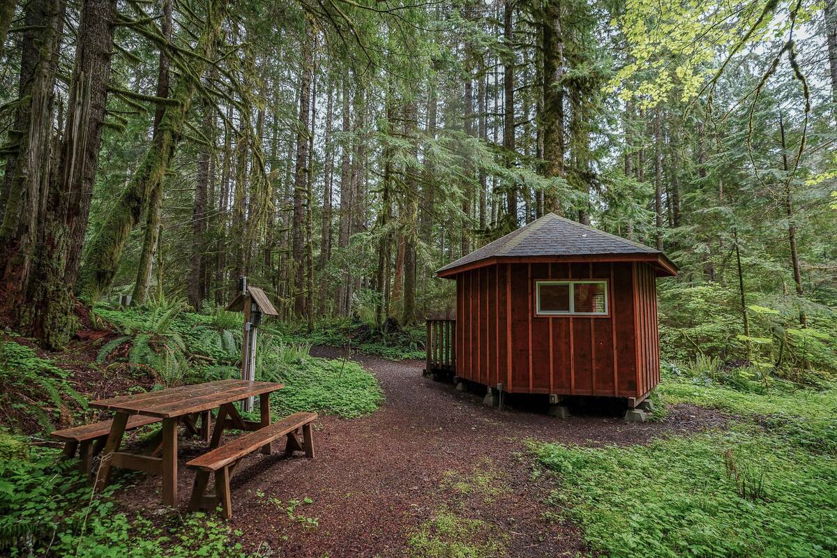 Eine rustikale Holzhütte, umgeben von dichtem Wald.