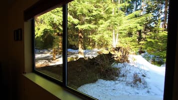 Vista desde la habitación