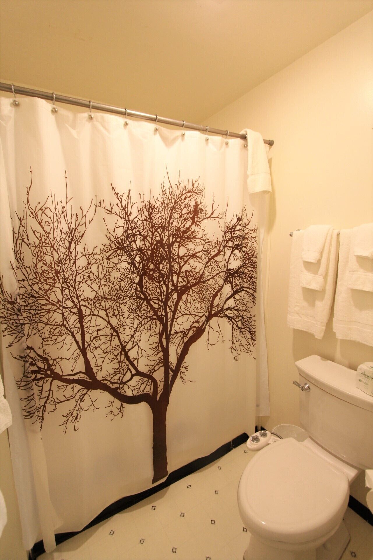 suite with 1 king bed and 1 queen sofa bed, room #10 (no pets) | bathroom | free toiletries, hair dryer, towels