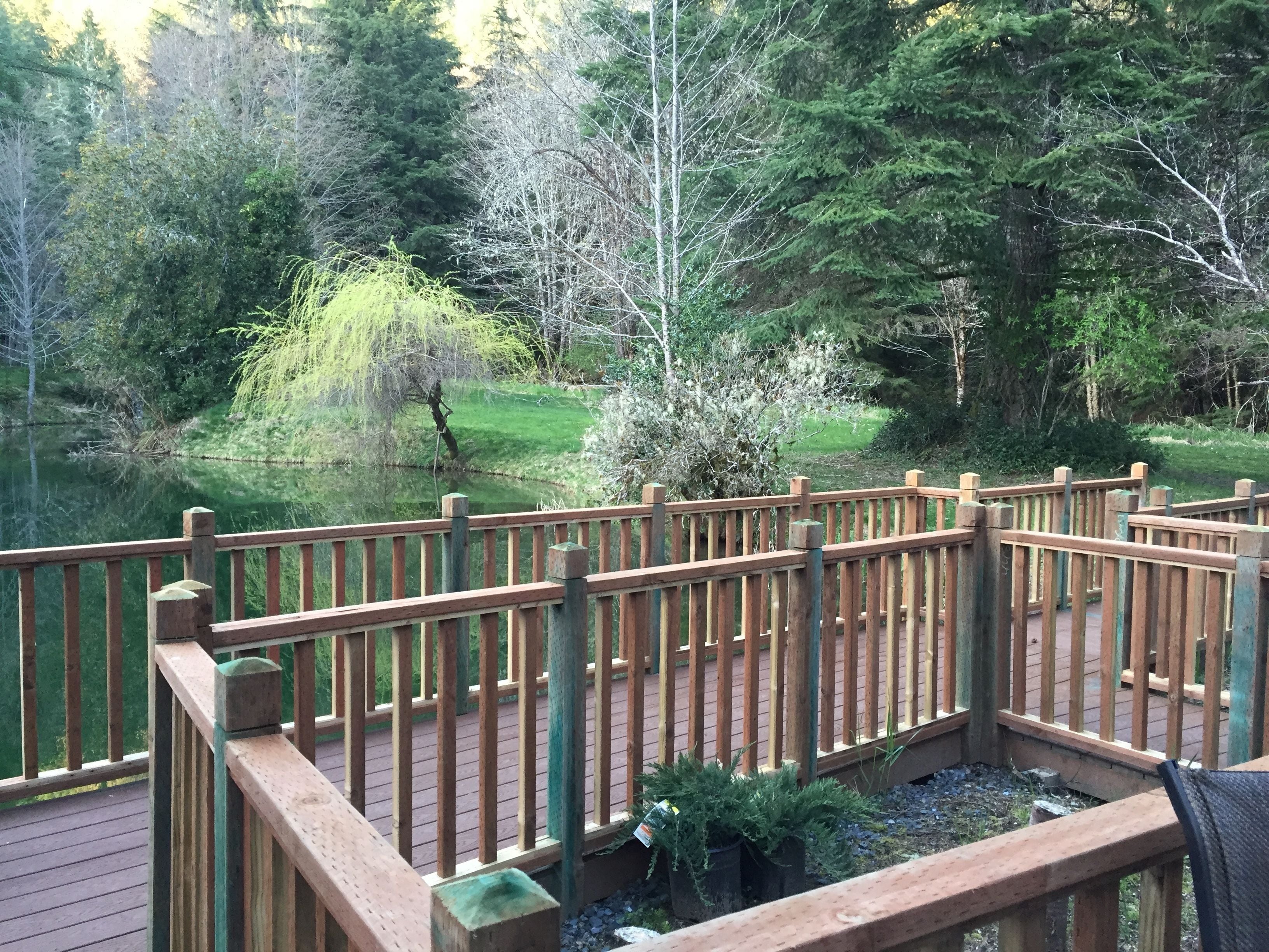 Una terraza de madera con barandilla que da a un lago, rodeada de árboles y vegetación.