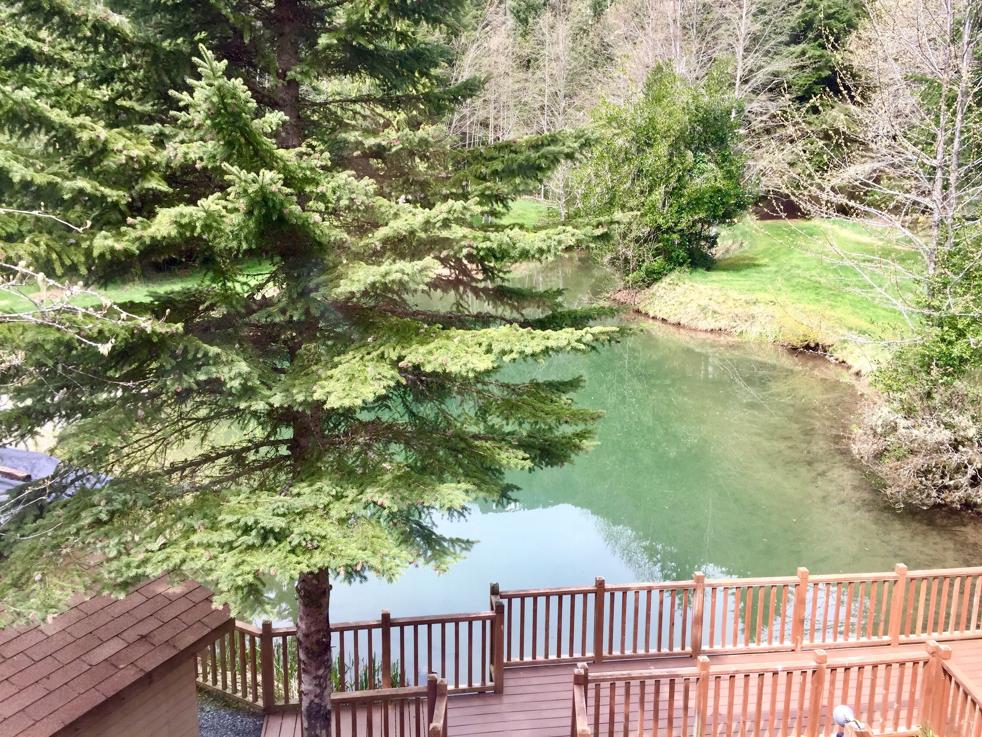 1 queen bed, room #2 (no pets) | view from room